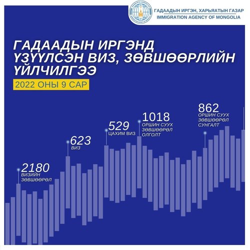 Гадаадын иргэнд виз олголт 20 хувиар өсжээ